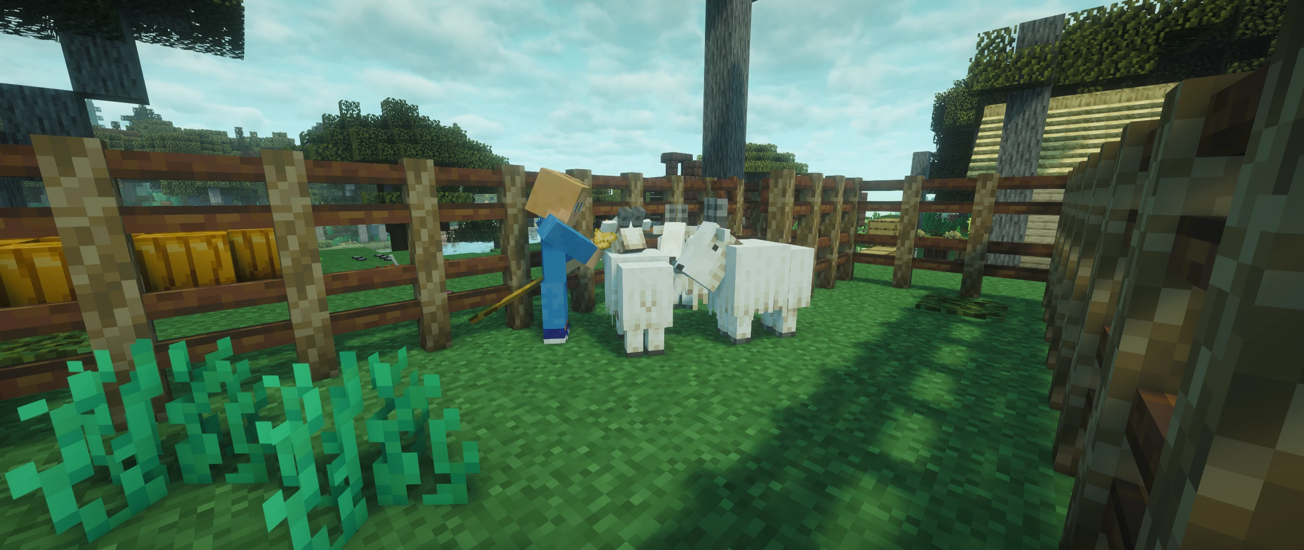 <span class="username">oKtosiTe</span> feeding the new goats that <span class="username">foxluma</span> brought home