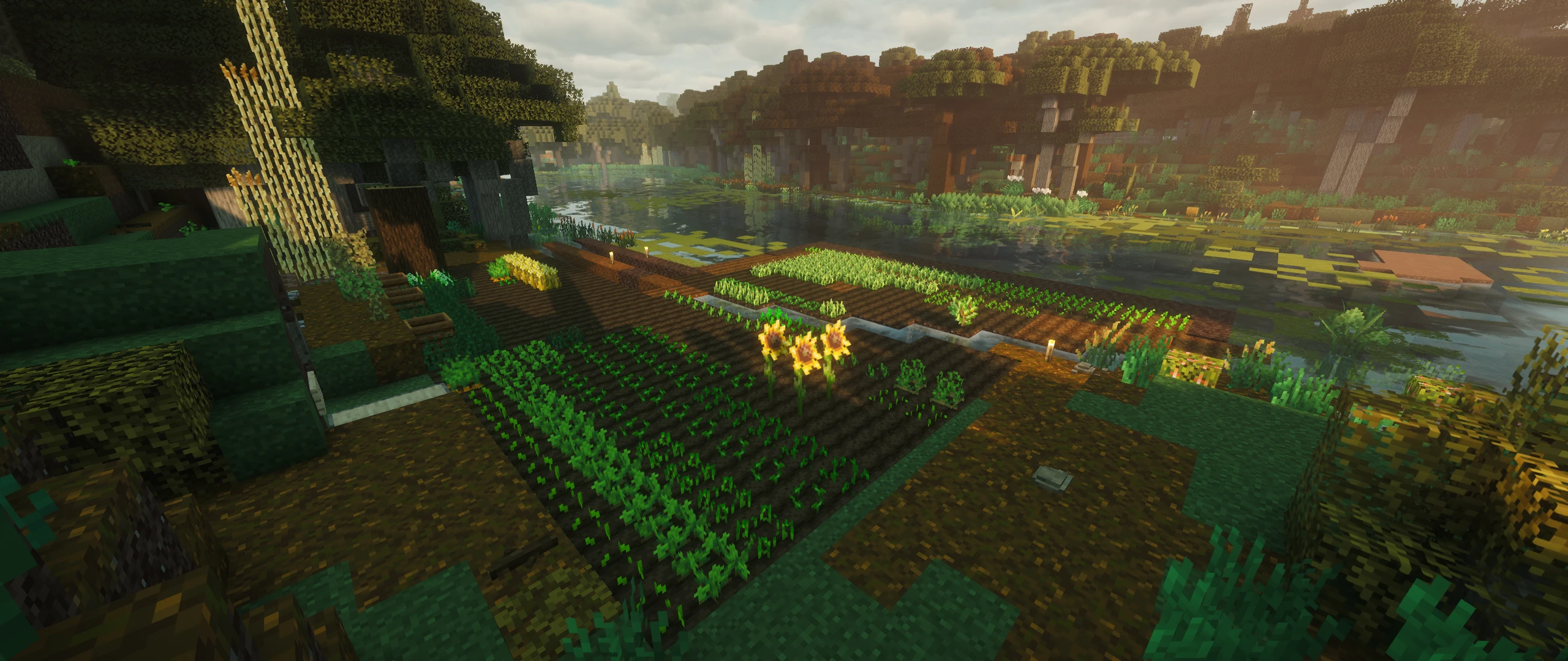 The farm has been expanded, plants are starting to grow