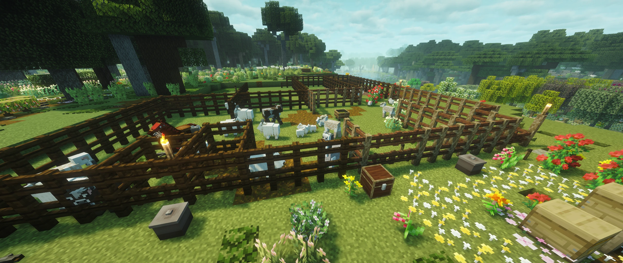 The animal pen has grown